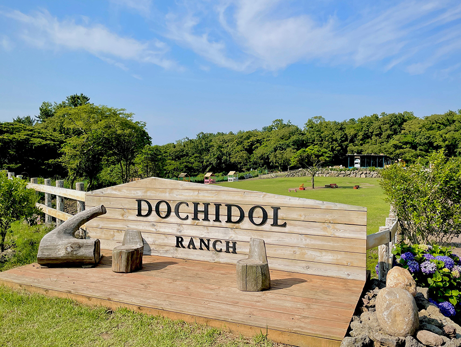 Dochidol Ranch (도치돌 알파카목장) Dochidol Ranch (도치돌 알파카목장)