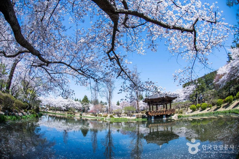 Bomun Tourist Complex (경주 보문관광단지)